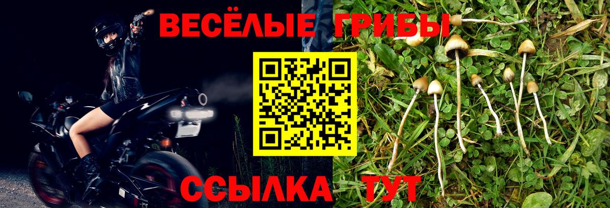 Таганрог  Галлюциногенные грибы Magic Shrooms  Вход с VPN 